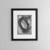 Calla-lily-print-photography-wall-art-galliani-collection-brown-frame- Black & White Photography