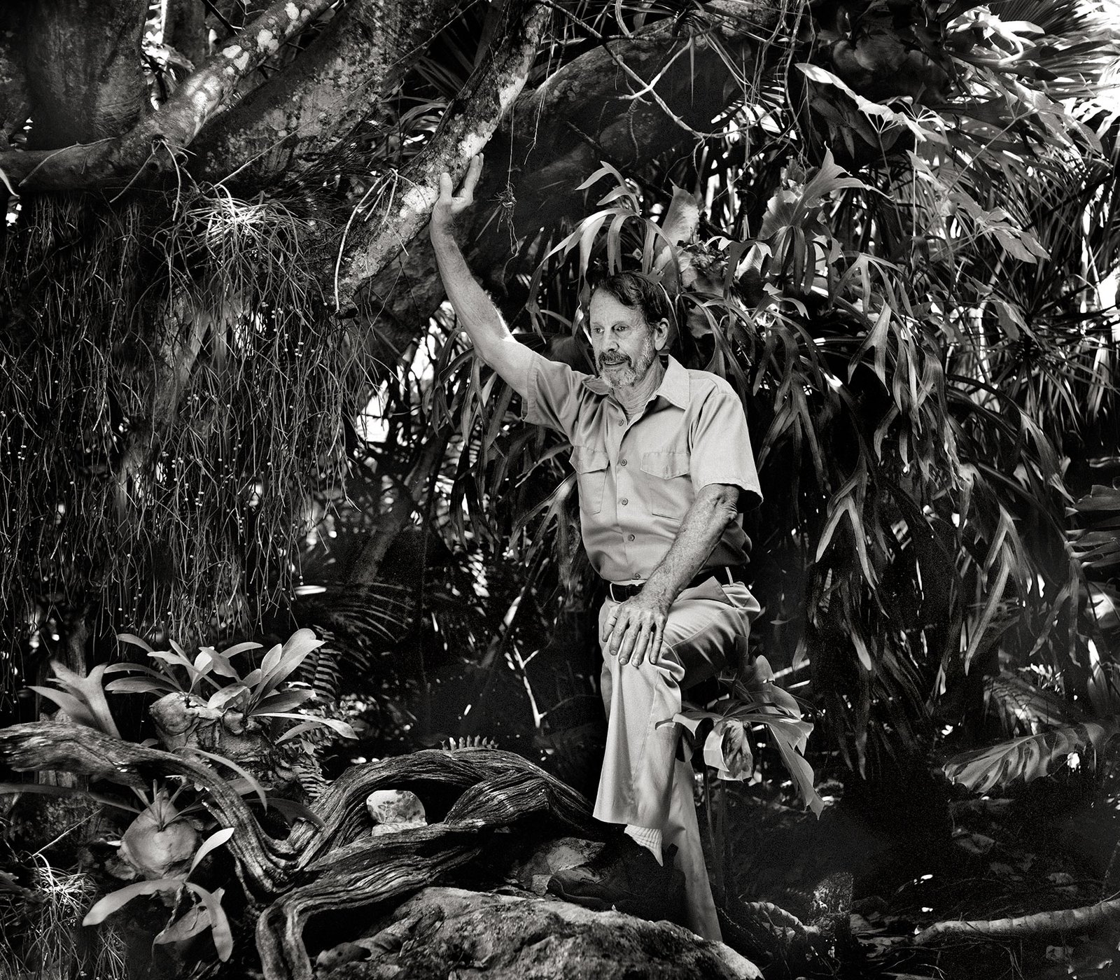 GALLIANI COLLECTION-Stanley Spielman, MD-Artist-Explorer