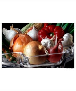 GALLIANI COLLECTION-Veggies