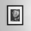 Magnolia-print-photography-wall-art-galliani-collection-framed