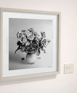 Purple-Roses-print-photography-wall-art-galliani-collection-gallery