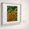 GALLIANI-COLLECTION-UM-Tree-Blossom-Wall-Art-Home-Decor-30-2740-ds