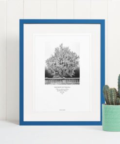 011-GALLIANI-UVA-GinkgoTree-Wall-Art-Blue-Frame