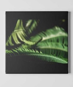 Fern-Leaves-Curling-Canvas-Wall-Art-Decor-black-mount