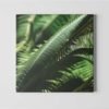 fern-leaves-canvas-wall-art