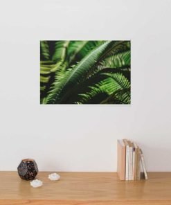 fern-leaves-canvas-wall-art-decor-mount