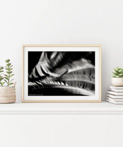 Fern-Plant-Leaves-Resting-Canvas-Wall-Art-Beige-Frame