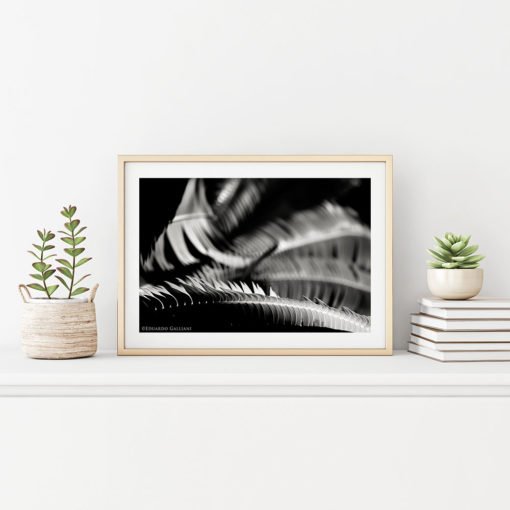Fern-Plant-Leaves-Resting-Canvas-Wall-Art-Beige-Frame