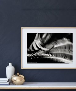 Fern-Plant-Leaves-Resting-Canvas-Wall-Art-Gold-Frame