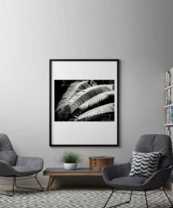 Fern-Plant-Standing-Leaves-Black-&-White-Canvas-Wall-Art-Black-Frame black and white photography
