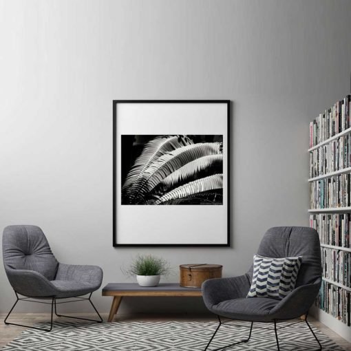 Fern-Plant-Standing-Leaves-Black-&-White-Canvas-Wall-Art-Black-Frame black and white photography